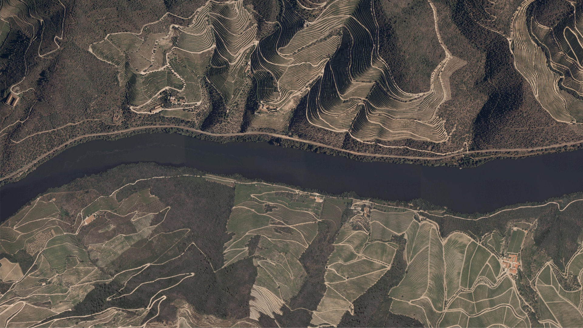 Imagem de Mosaico Sentinel-2 da região do Douro